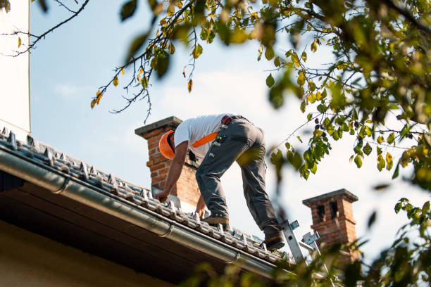 Best Local Roofing Companies  in Salem, NJ