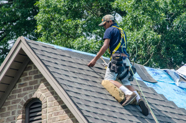 Best Roof Gutter Cleaning  in Salem, NJ